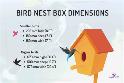 metal macaw nest box|nest box size chart.